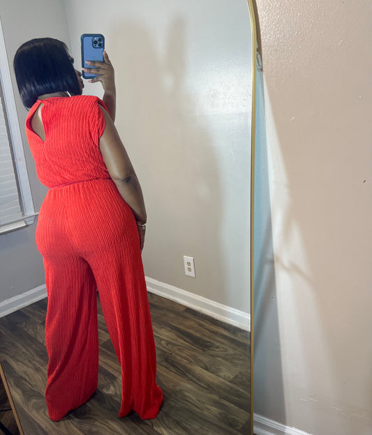 Chic classy jumpsuit